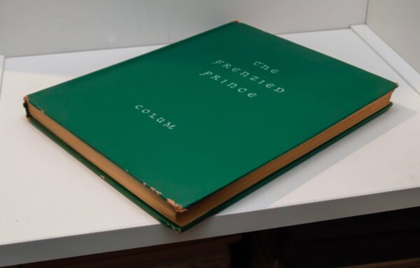The Frenzied Prince Heroic Tales of Ancient Ireland Padraic Colum 1943  Illustrated First edition vintage hardcover - Image 5