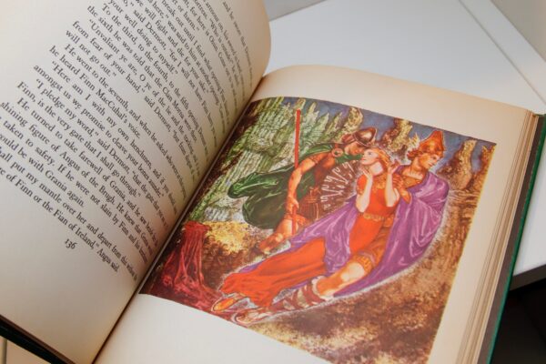 The Frenzied Prince Heroic Tales of Ancient Ireland Padraic Colum 1943  Illustrated First edition vintage hardcover - Image 9