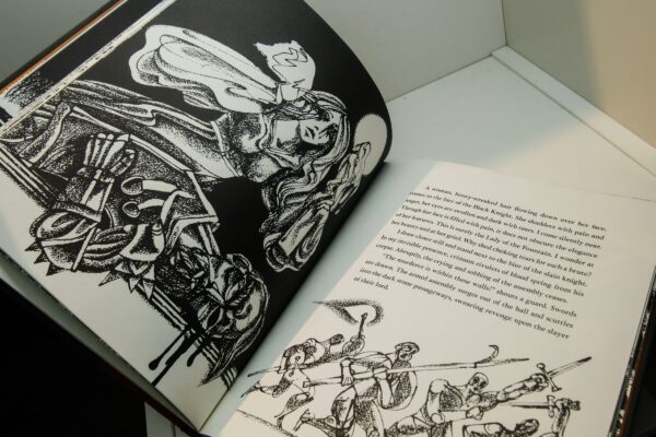 The Knight of the Lion Signed Gerald McDermott First edition 1979 Vintage hardcover story book - Image 8