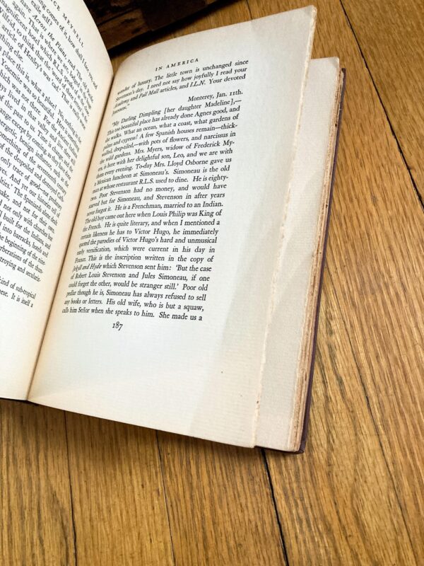 Vintage 1920s hardcover memoir "Alice Meynell" 1929 First edition by Viola Maynell For poetry fans - Image 9
