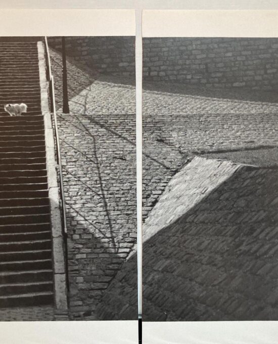 Brassai “Little white dog, Montmartre, Paris” 1932 Vintage diptych photograph art book pages