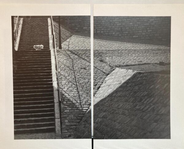 Brassai "Little white dog, Montmartre, Paris" 1932 Vintage diptych photograph art book pages - Image 2