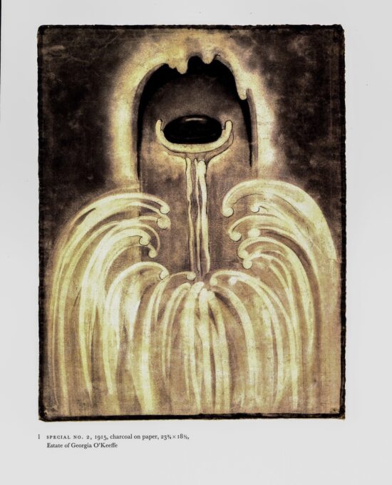 Georgia O’Keeffe vintage art book plate 1915 “Special No. 2 / Special No. 4”