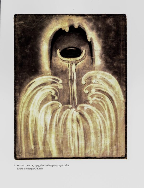 Georgia O'Keeffe vintage art book plate 1915 "Special No. 2 / Special No. 4"
