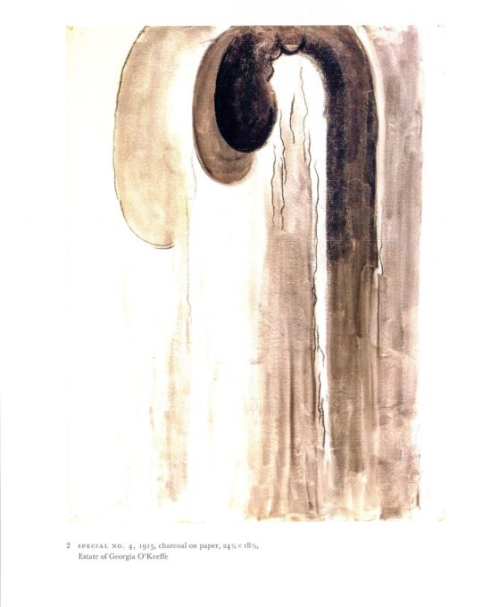 Georgia O’Keeffe vintage art book plate 1915 “Special No. 2 / Special No. 4”