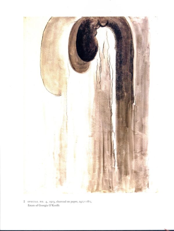 Georgia O'Keeffe vintage art book plate 1915 "Special No. 2 / Special No. 4" - Image 2