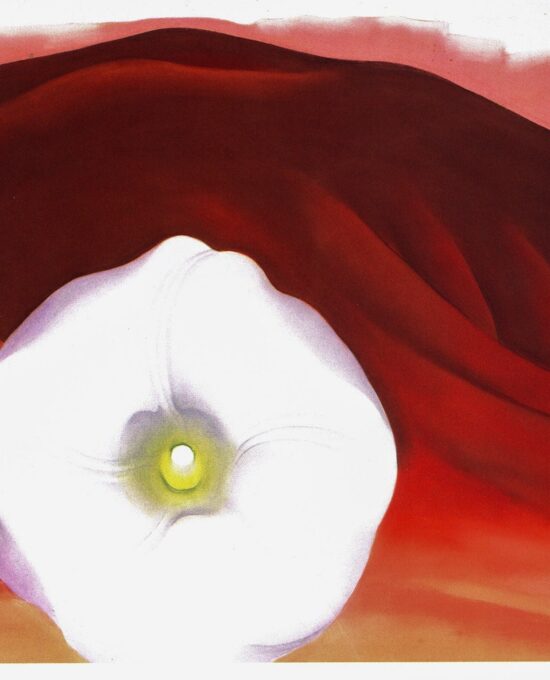 Georgia O’Keeffe “Red Hills and White Flower / Red and Pink Rocks and Teeth”