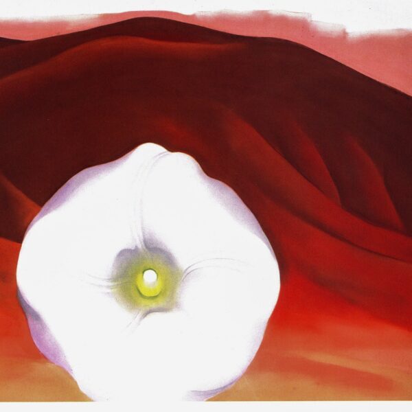 Georgia O'Keeffe "Red Hills and White Flower / Red and Pink Rocks and Teeth"