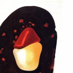 Georgia O'Keeffe "Three Small Rocks Big / Red and Pink Rocks"