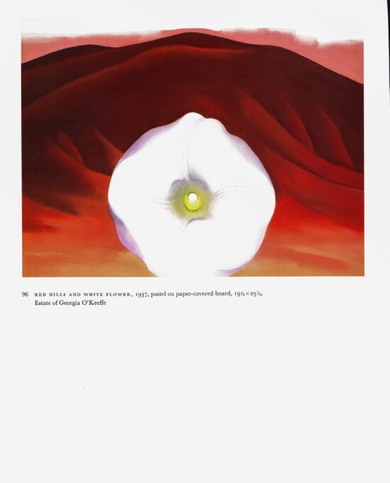 Georgia O’Keeffe “Red Hills and White Flower / Red and Pink Rocks and Teeth”