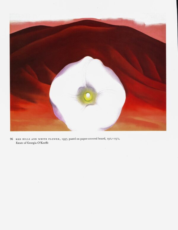 Georgia O'Keeffe "Red Hills and White Flower / Red and Pink Rocks and Teeth" - Image 2
