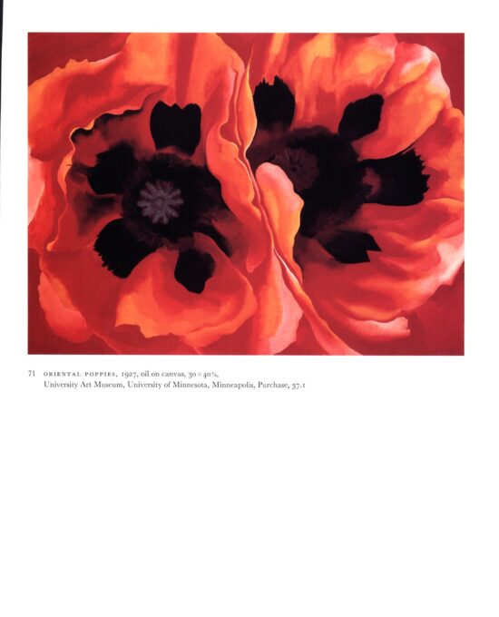 Georgia O’Keeffe vintage art book plate “Oriental Poppies / Ranchos Church” For the den