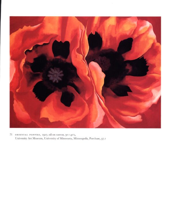 Georgia O'Keeffe vintage art book plate "Oriental Poppies / Ranchos Church" For the den - Image 2