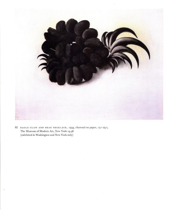 Georgia O’Keeffe vintage print 1937/34 “The Broken Shell – Pink / Eagle Claw and Bean Necklace”
