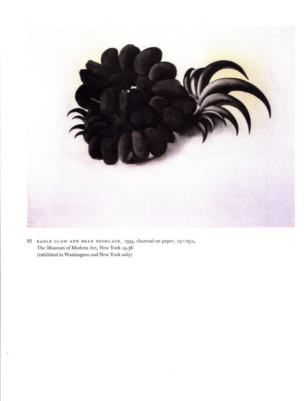 Georgia O'Keeffe vintage print 1937/34 "The Broken Shell - Pink / Eagle Claw and Bean Necklace"