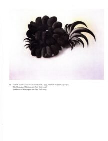Georgia O'Keeffe vintage print 1937/34 "The Broken Shell - Pink / Eagle Claw and Bean Necklace"