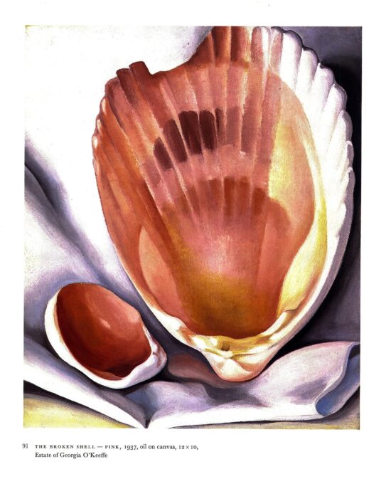 Georgia O’Keeffe vintage print 1937/34 “The Broken Shell – Pink / Eagle Claw and Bean Necklace”