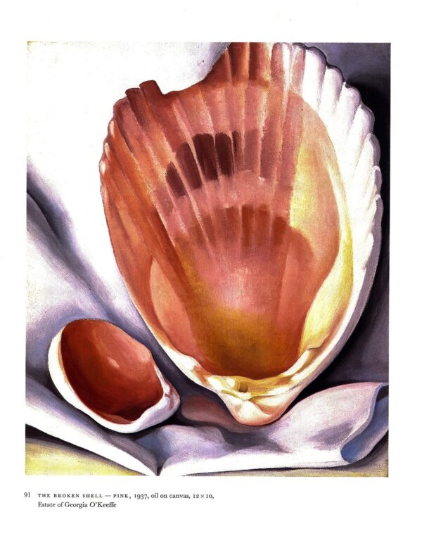 Georgia O'Keeffe vintage print 1937/34 "The Broken Shell - Pink / Eagle Claw and Bean Necklace" - Image 2