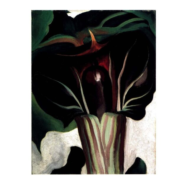 Georgia O'Keeffe "Jack in the Pulpit / Black and White" Two-sided vintage art print