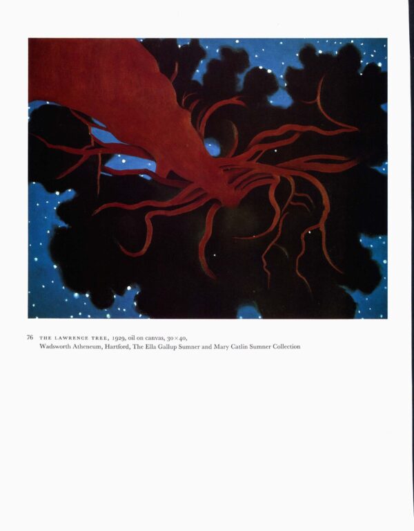 Georgia O'Keeffe vintage art book plate "Cow's Skull with Calico Roses / The Lawrence Tree" - Image 2