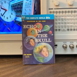 Ace "Double" Rocket to Limbo & Echo in the Skull c.1959 Vintage sci fi double novel paperback
