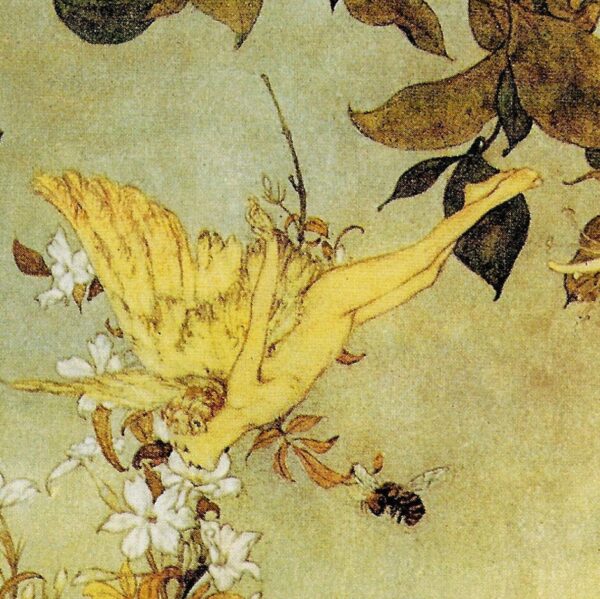 Edmund Dulac art The Tempest Act V Scene I 1908 "Ariel. Where the bee sucks, there suck I" - Image 3