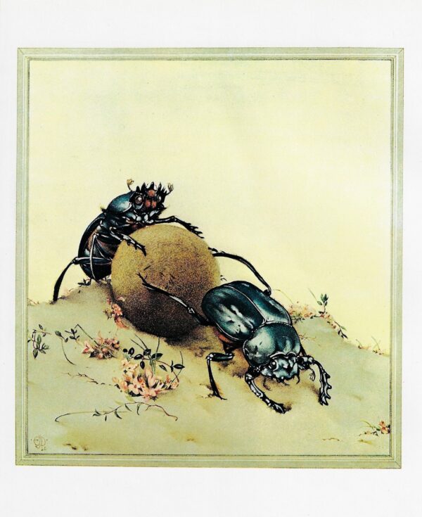 Edward Julius Detmold 1921 "The Sacred Beetle" - Fabre's Book of Insects '70s print