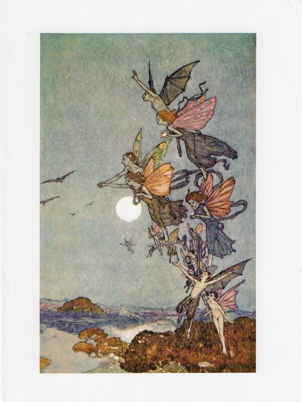 Edmund Dulac 'The Tempest' Fairy Art Print: Vintage Book Page