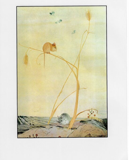Aesop’s Fables Art Print: The Town Mouse & Country Mouse, Detmold [1909]