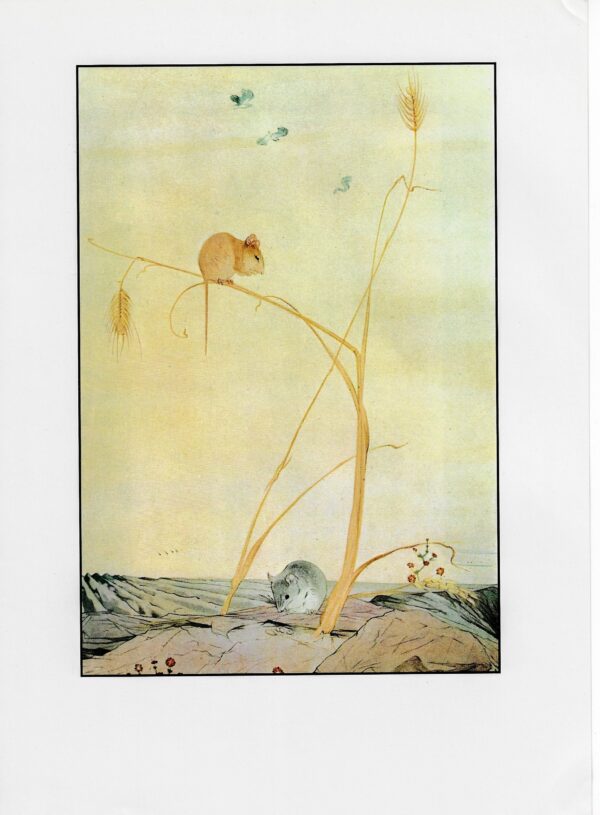 Aesop's Fables Art Print: The Town Mouse & Country Mouse, Detmold [1909]