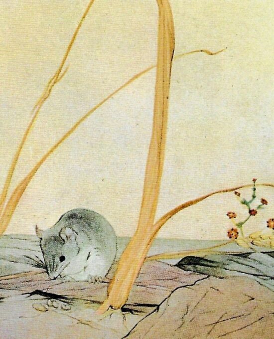 Aesop’s Fables Art Print: The Town Mouse & Country Mouse, Detmold [1909]