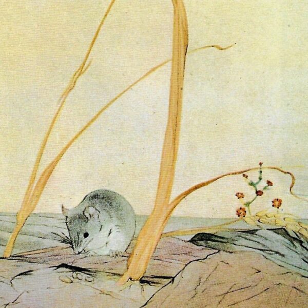 Aesop's Fables Art Print: The Town Mouse & Country Mouse, Detmold [1909] - Image 2