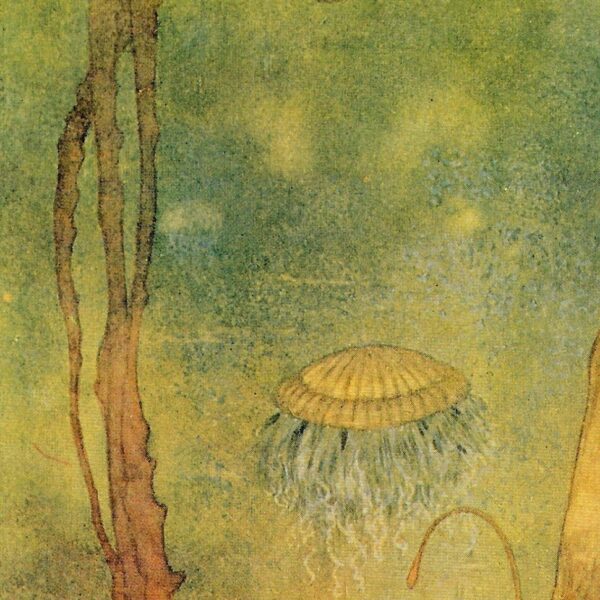 Edmund Dulac 'The Tempest' Anglerfish Print: Shakespeare Vintage Art - Image 2