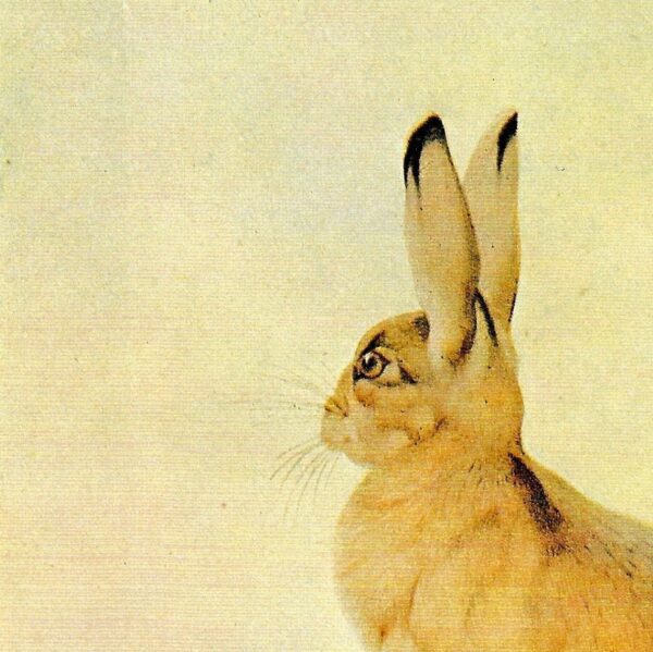 Vintage Hare Print: Aesop Fables Art by Detmold, 1970s Book Plate - Image 2