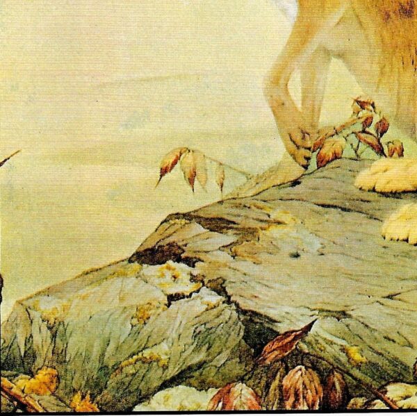 Vintage Hare Print: Aesop Fables Art by Detmold, 1970s Book Plate - Image 3