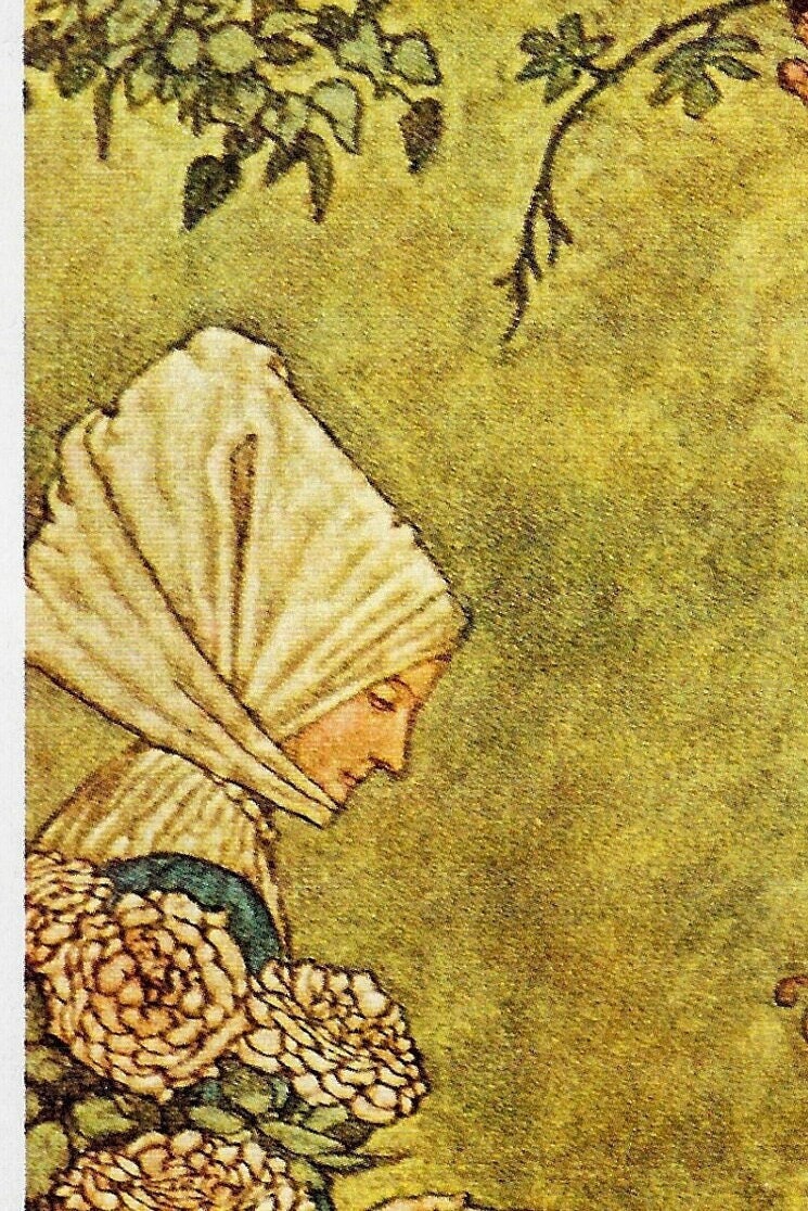 W. Heath Robinson Art: The Wild Swan, Vintage Book Plate (1913) - Image 2