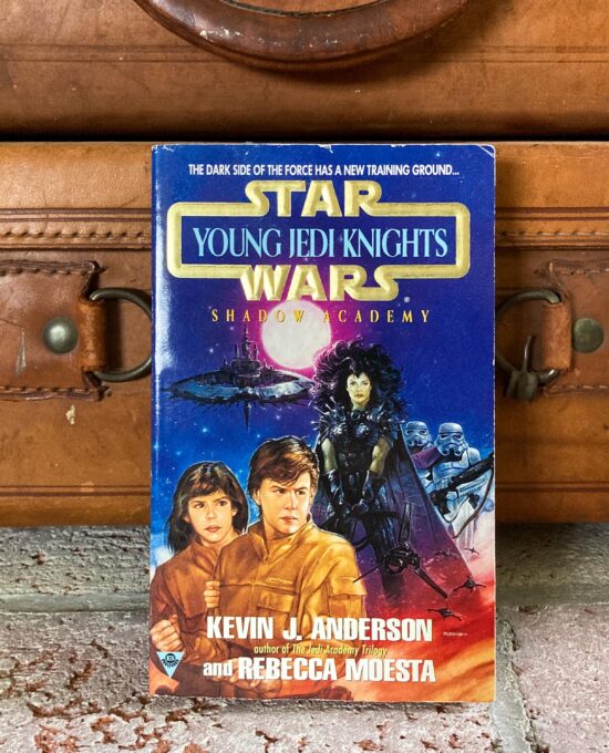 Young Jedi Knights: Shadow Academy – 1st Edition Star Wars Paperback, 1995