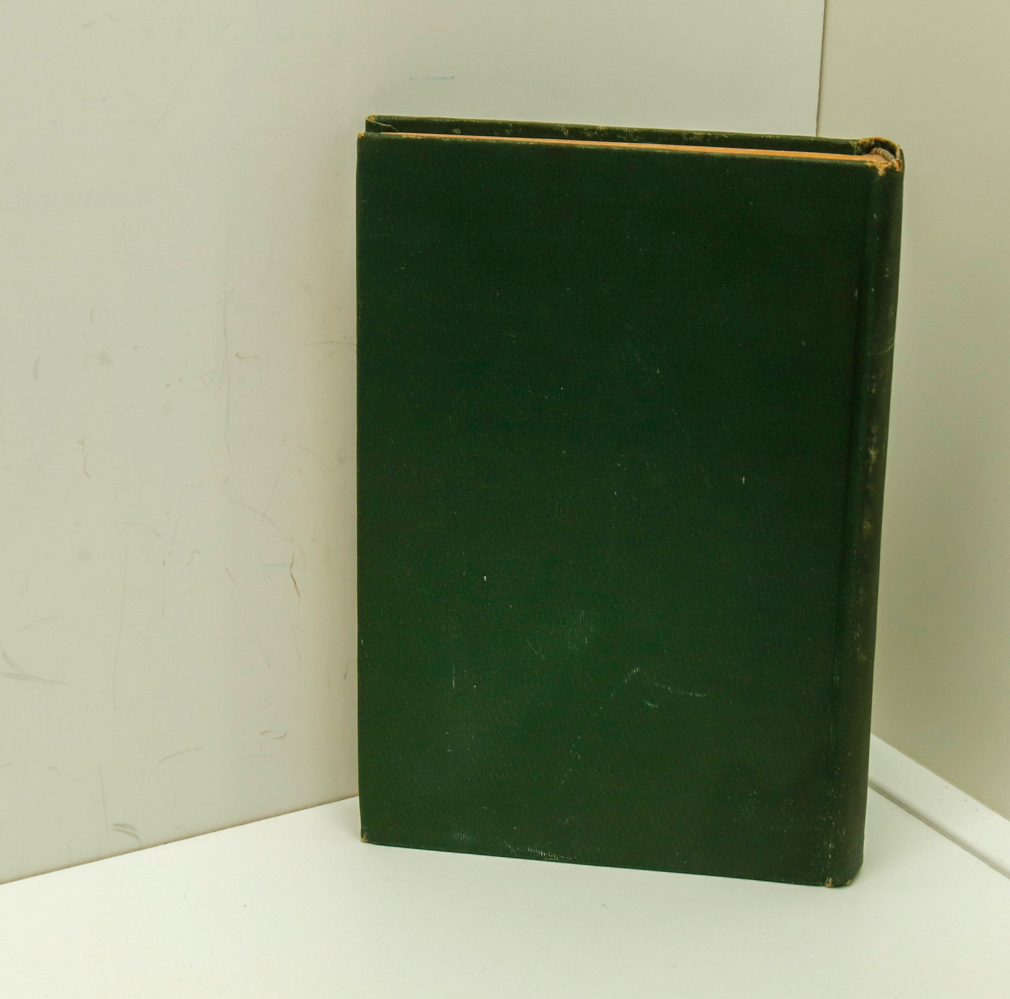 Vintage "The Master of Ballantrae" Book by Robert Louis Stevenson, c1900 - Image 3