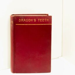 Dragon's Teeth: Antique Novel, 1898 First Edition