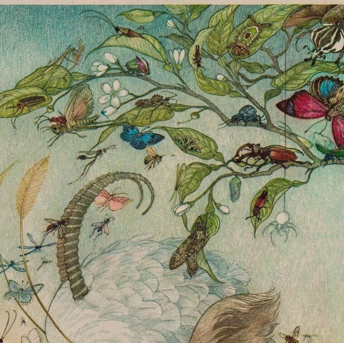 Vintage Insect Illustration: Scroobious Pip by Nancy Ekholm Burkert - Image 4