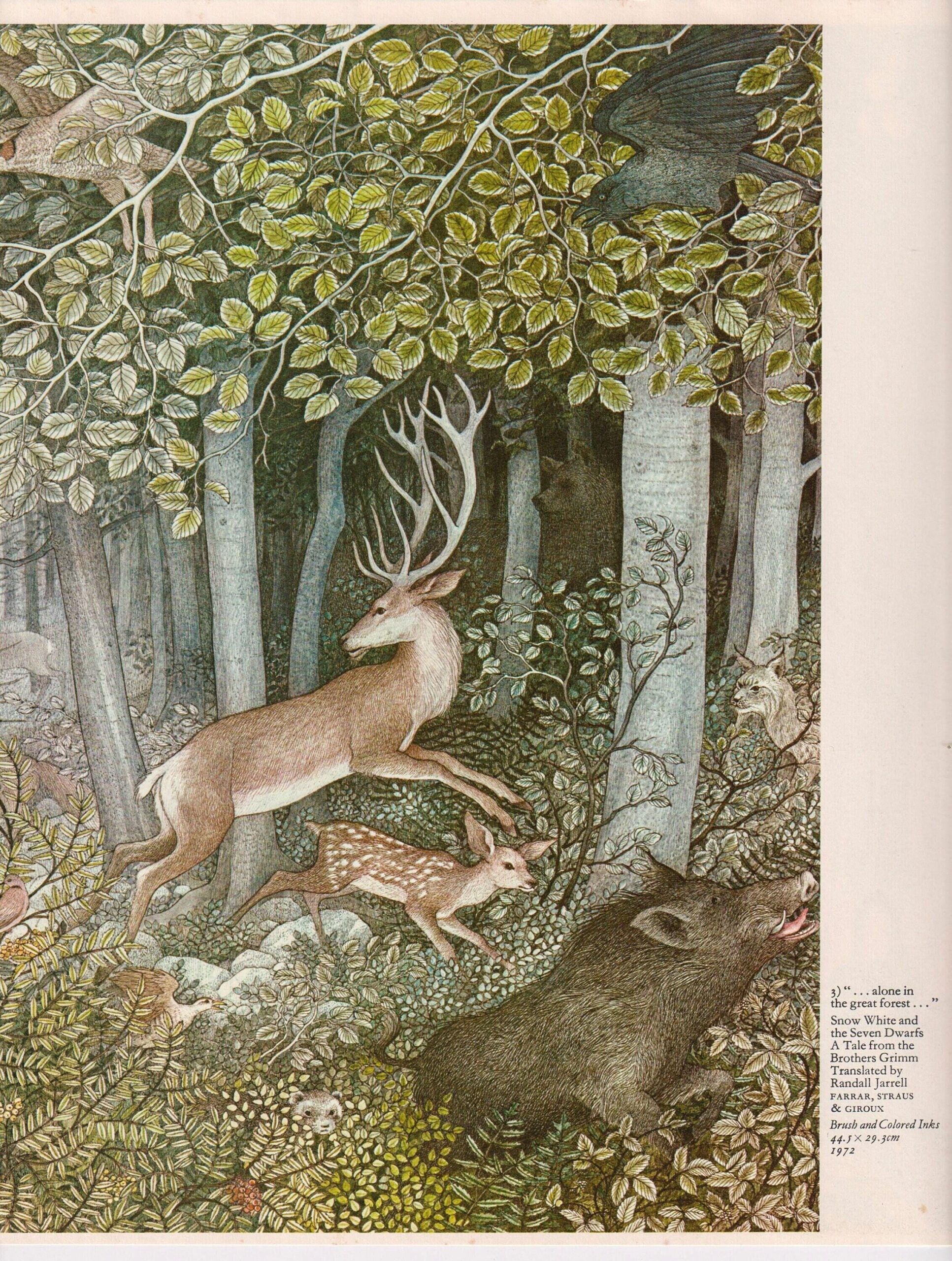 Nancy Ekholm Burkert Snow White Vintage Art Print: Forest Animals - Image 2
