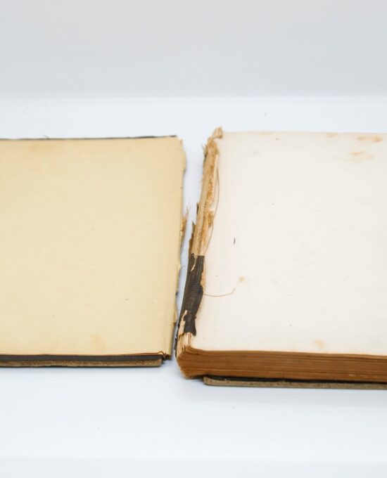 1857 Antique Architecture Book: Modern Housebuilder First Edition