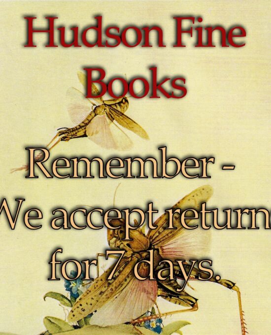 Arts & Crafts illustration Kay Nielsen “The King could not find her” Brothers Grimm print