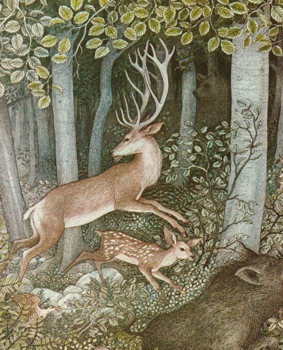Nancy Ekholm Burkert Snow White Vintage Art Print: Forest Animals