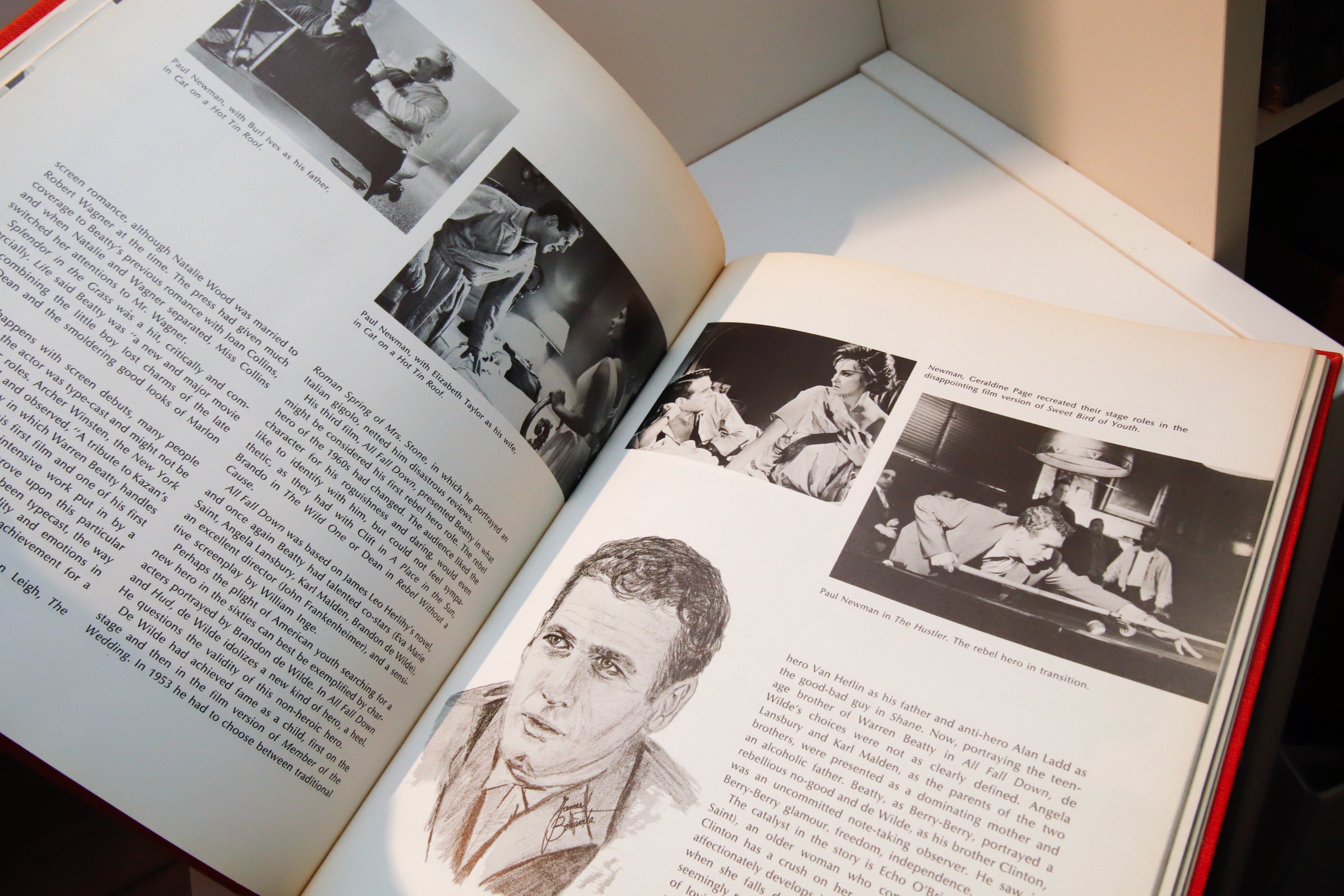 The Rebel Hero in Film, 1971 First Edition hardcover - Image 9