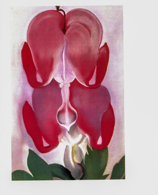 Georgia O’Keeffe print 1932 “Bleeding Heart” Original vintage color book page