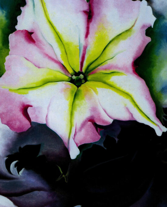 Georgia O’Keeffe print 1924 “Petunia & Coleus” Original vintage art book page