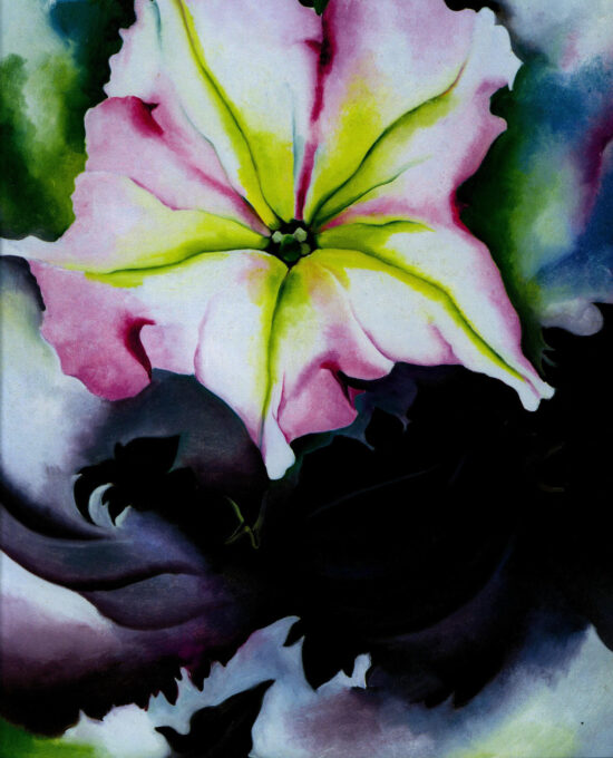 Georgia O’Keeffe print 1924 “Petunia & Coleus” Original vintage art book page