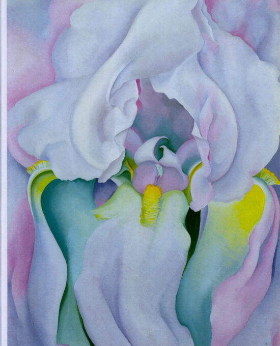 Georgia O’Keeffe print 1930 “Light Iris” Original over-size vintage art book page