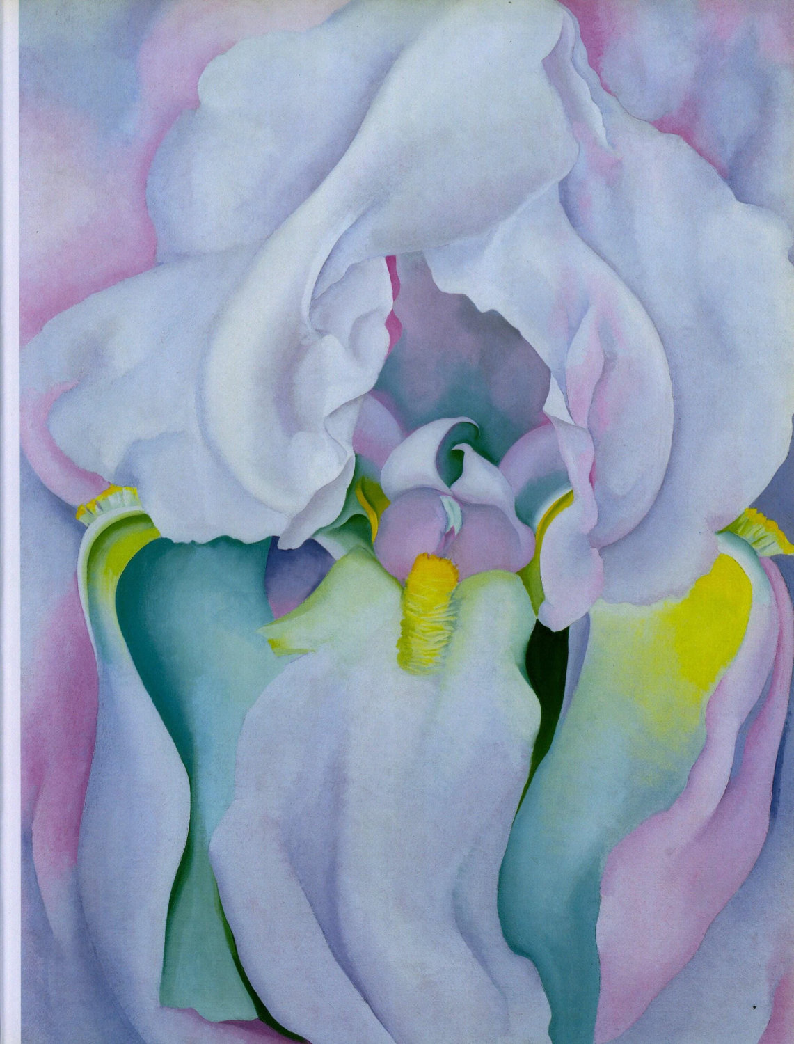 Georgia O'Keeffe print 1930 "Light Iris" Original over-size vintage art book page - Image 2